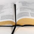 Referência: Neemias 8.1-18 INTRODUÇÃO 1. O crescimento da igreja é um dos temas mais discutidos na atualidade Todo pastor anseia ver sua igreja crescer. A igreja deve crescer, precisa crescer....